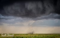 DSC_5955.jpg