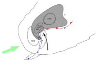 fig6-direction.png