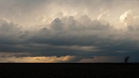 IMG_5487a.jpg