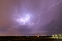 DSC_6569.jpg