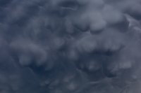 314A0564.jpg