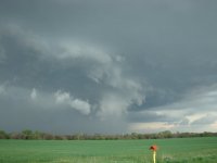 DSC00844.JPG