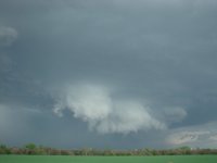 DSC00848.JPG