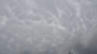 20160426_132744.jpg