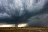 DSC_1131.jpg