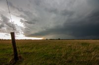 DSC_0052.jpg