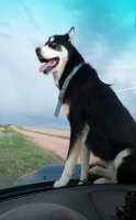 07MAY16_CHASE VISITOR.jpg