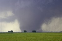 254de523c883543bb03321e57f99e222.jpg