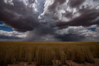 weatherstudios_sc2016-16.jpg