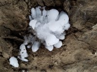 20160526_184725.jpg