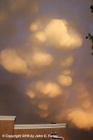 mammatus60516-1.jpg