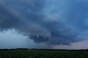 IMG_2804a.jpg