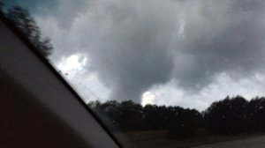 IMG_8966[1].MOV_snapshot_00.00_[2017.01.22_22.31.41].jpg