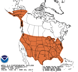 WK34temp.gif