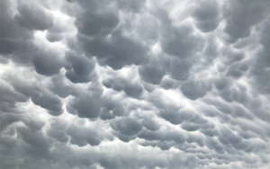 mammatus.jpg