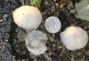 hail170718b.jpg