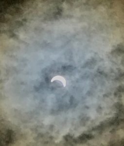 IMG_0264.JPG