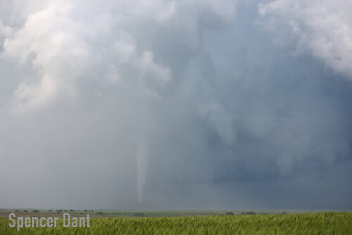 5-29-19-Waldo-5.jpg