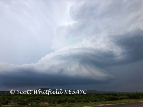 FullSizeRender_eZy Watermark_02-06-2019_06-10-20AM.png
