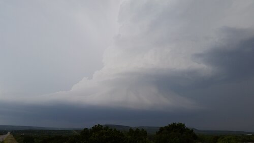 20190517_183419.jpg