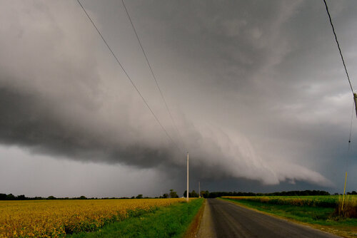 9-29-19-Emden-IL-Shelf-2.jpg