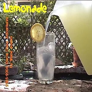 PTlemonade.jpg