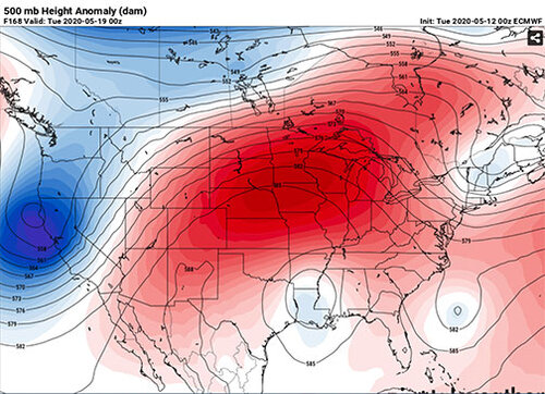 ecmwf.jpg