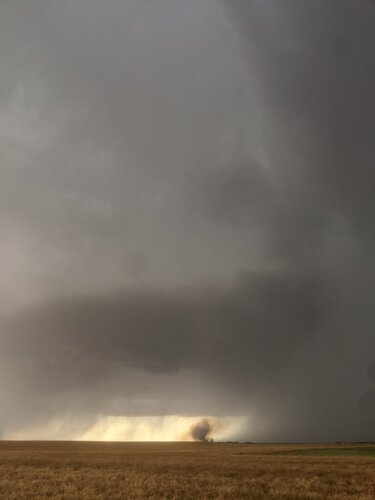 IMG_20200624_181604.jpg
