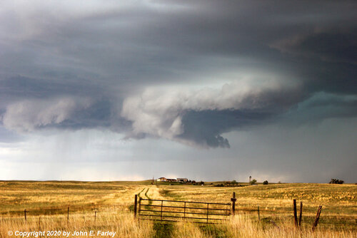 chase62620-7.jpg