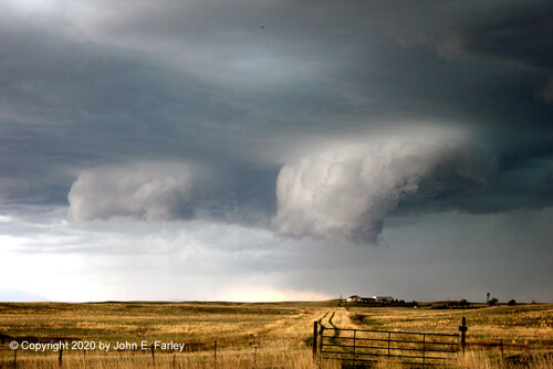 chase62620-8.jpg