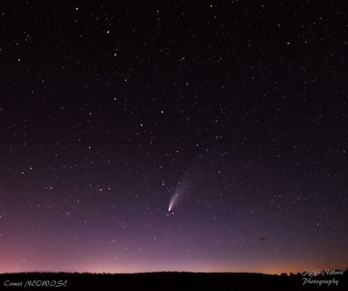 comet2.jpg