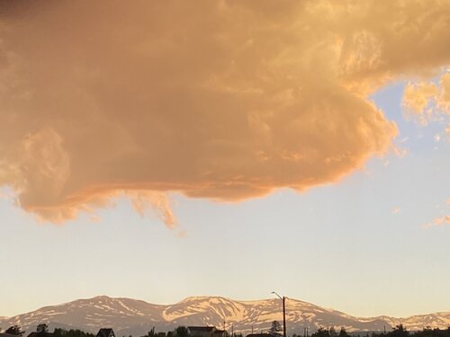 2C1AB280-EF45-4CE4-B114-4555858DA86C.jpeg