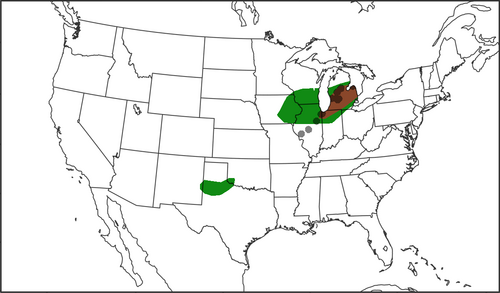 spc_day_1_20210626_t06z.png