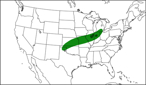 spc_day_1_20210625_t06z.png