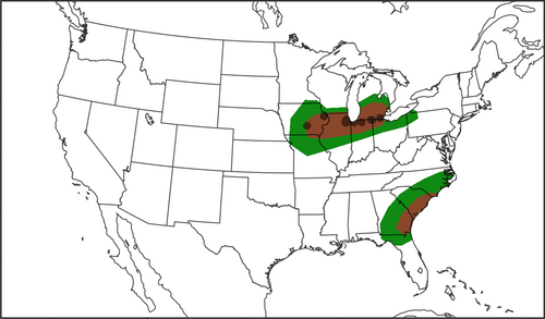 spc_day_1_20210620_t06z.png