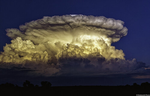 IMG_1081-art-scale-4_00x-gigapixel-DeNoiseAI-clearMooned01_DxO.jpg