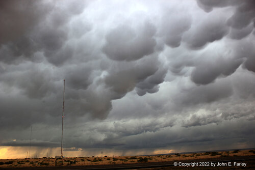 chase60322-3.jpg