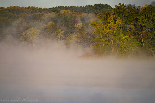 _DSC5564.jpg