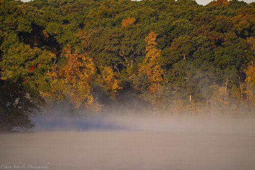 _DSC5587.jpg
