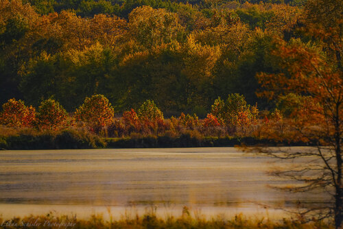 _DSC6025.jpg
