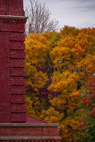 _DSC5932.jpg