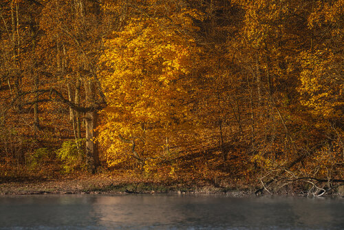 _DSC7002.jpg