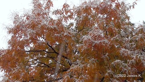 fall-snow.jpg