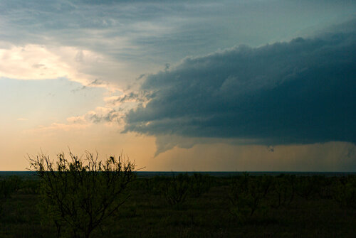 DSC_1074.jpg