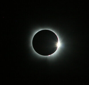 IMG_5647-cr-e-4x4.jpg