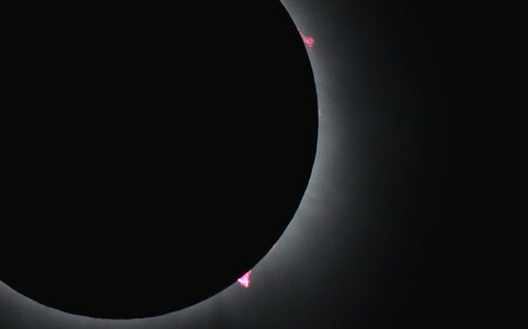 totality brighter prominences enlargement resized.jpg