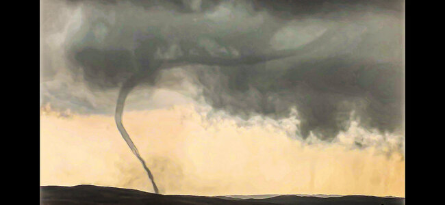Screenshot_20250429_033808_Gallery.jpg