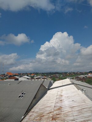 20250224_092859.jpg
