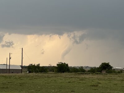 IMG_8514.jpeg