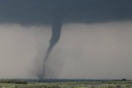 IMG_8393.JPG